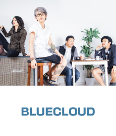 BLUECLOUD