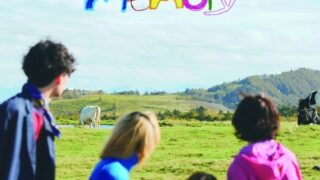 プルスタンス/memory